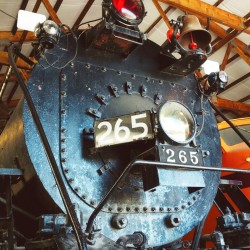 Illinois Railway Museum 2012 - Illinois Railway Museum 2012 - 27