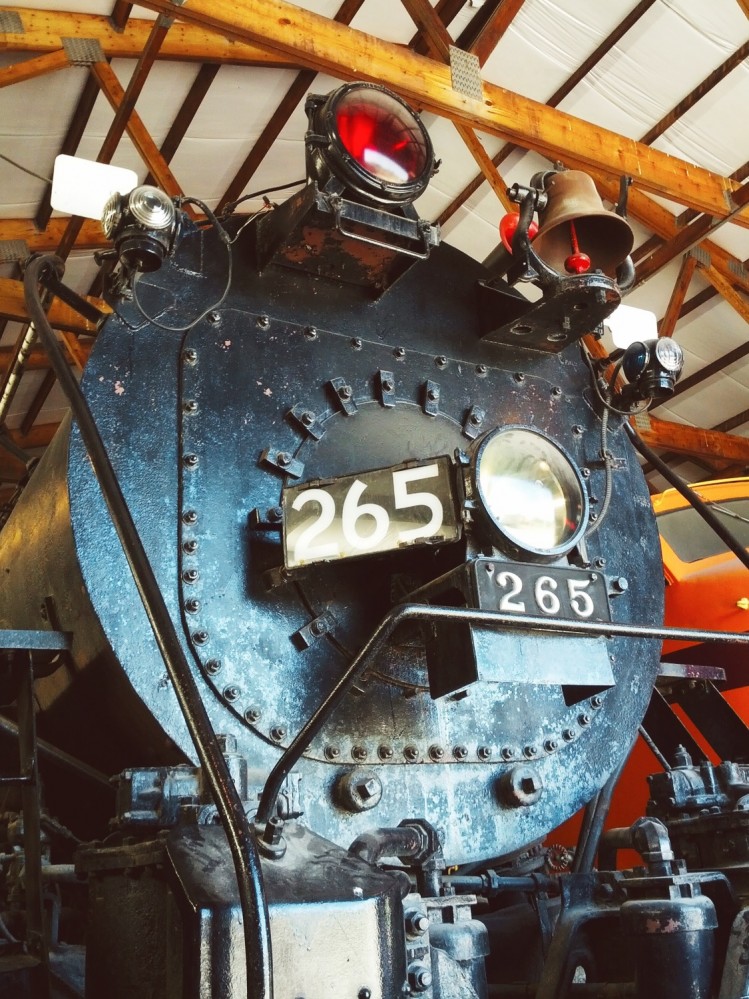 Illinois Railway Museum 2012 - 27