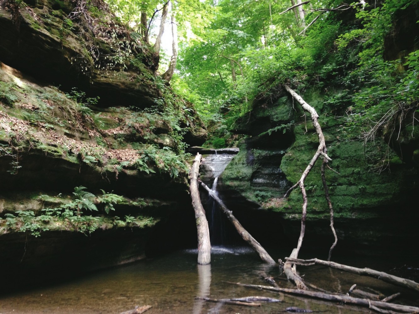Starved Rock 2014 - 18