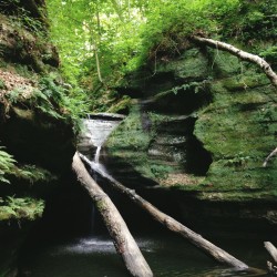 Starved Rock 2014 - Starved Rock 2014 - 21