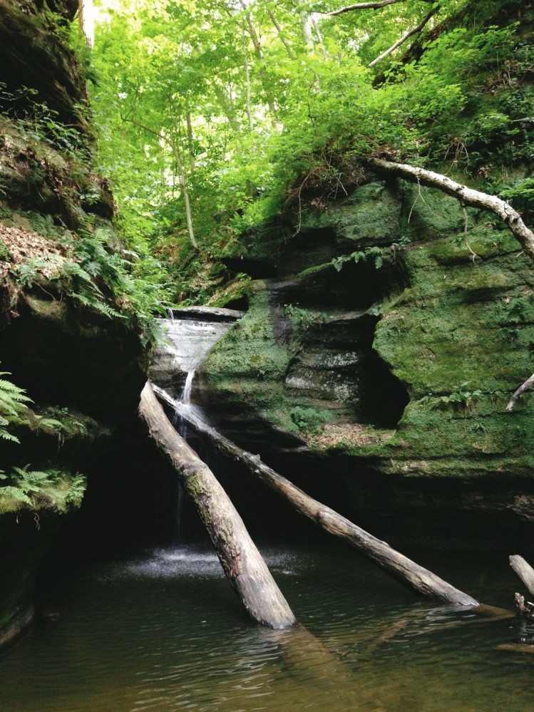 Starved Rock 2014 - 21