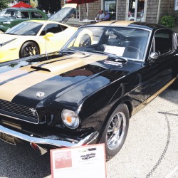 Geneva Concours d’Elegance 2015 - Geneva Concours dElegance 2015 - 66 Mustang 1