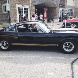 Geneva Concours d’Elegance 2015 - Geneva Concours dElegance 2015 - 66 Mustang 2