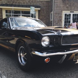Geneva Concours d’Elegance 2015 - Geneva Concours dElegance 2015 - 66 Mustang 4