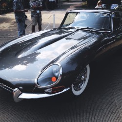 Geneva Concours d'Elegance 2015