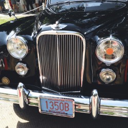 Geneva Concours d’Elegance 2015 - Geneva Concours dElegance 2015 - Jaguar 2