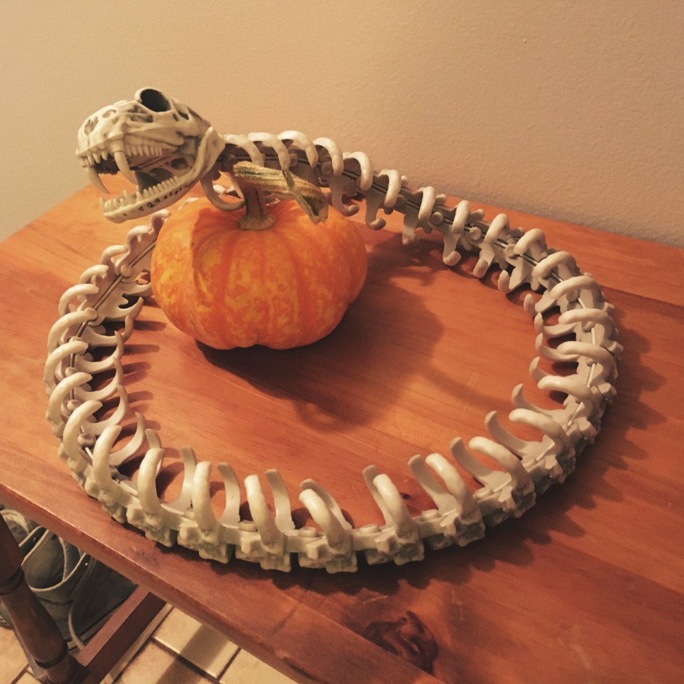 Halloween decorating 2016 - 5