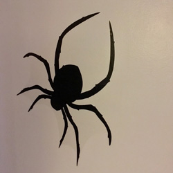 Halloween decorating 2016 - Halloween decorating 2016 - 6