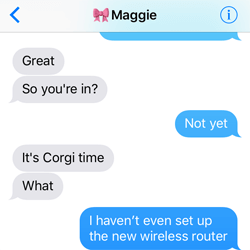 Corgi Doggo Exchange - Corgi Doggo Exchange 10