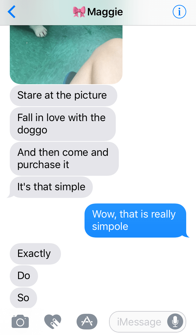 Corgi Doggo Exchange 2
