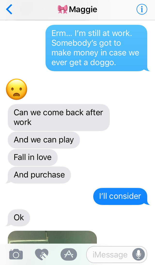 Corgi Doggo Exchange 7