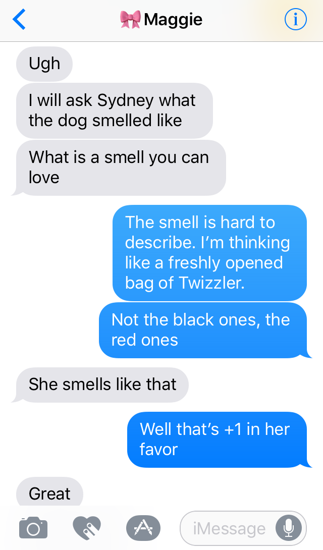 Corgi Doggo Exchange 9