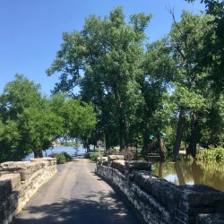 Fabyan Nature Walk 2017 - Fabyan Nature Walk 2017 - 02 - Island Park flooded