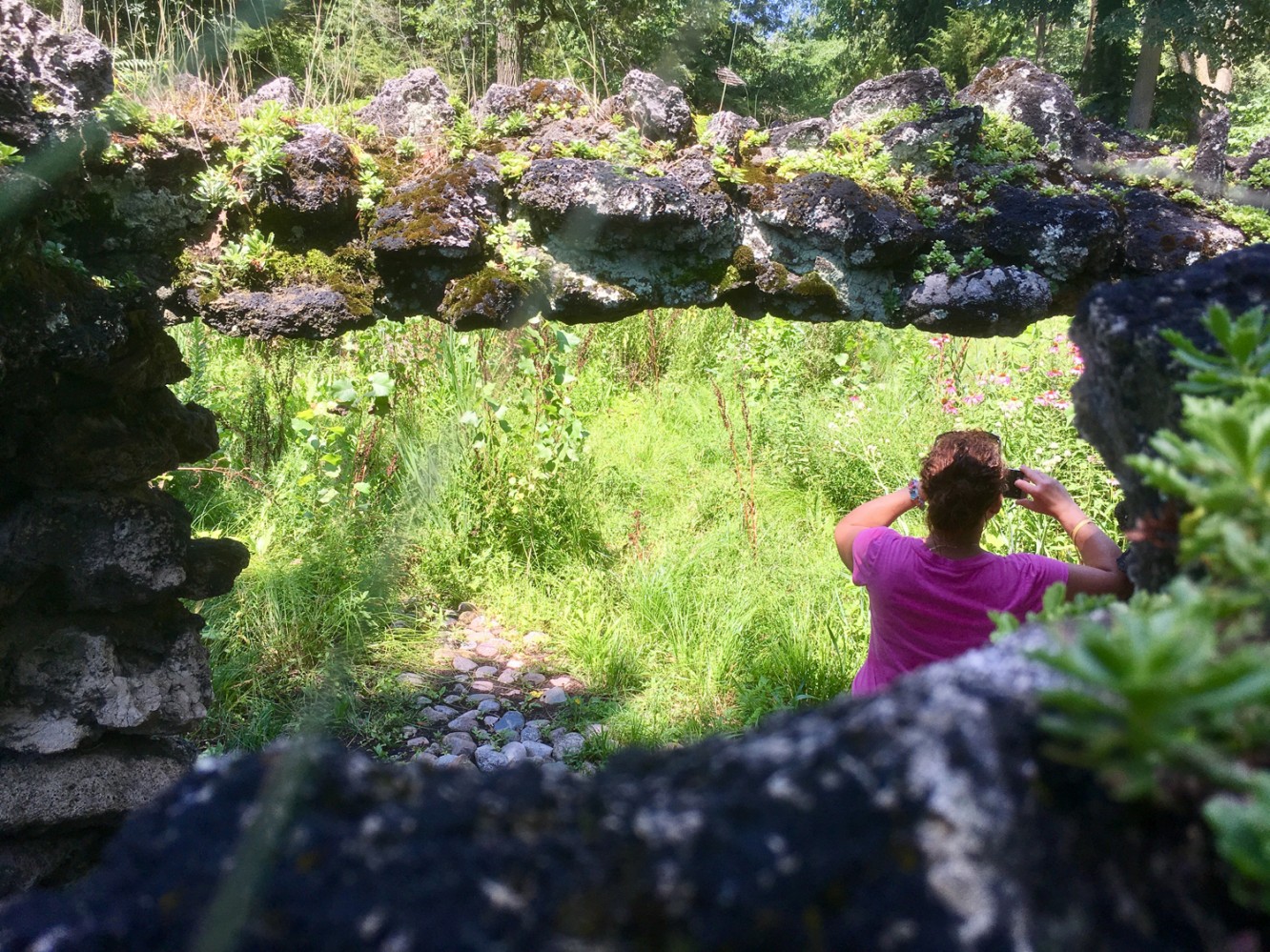 Fabyan Nature Walk 2017 - 08 - AJC doing her own photoshoot