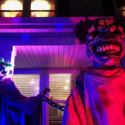 Halloween Carnival 2017 - Halloween Carnival 2017 - 2