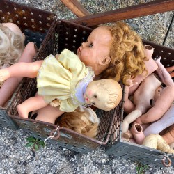 Haunted Halloween Flea Market 2017 - Haunted Halloween Flea Market 2017 - 05