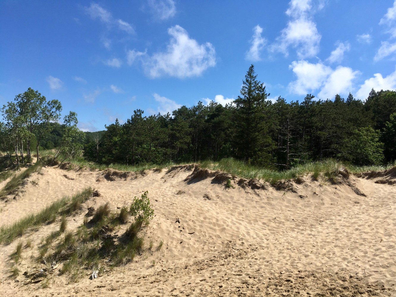 Lake Michigan 2017 - 06 - Saugatuck Dunes State Park