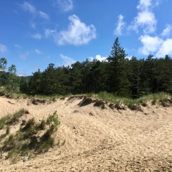 Lake Michigan 2017 - Lake Michigan 2017 - 06 - Saugatuck Dunes State Park