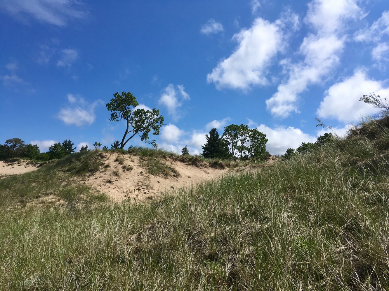 Lake Michigan 2017 - 07 - Saugatuck Dunes State Park