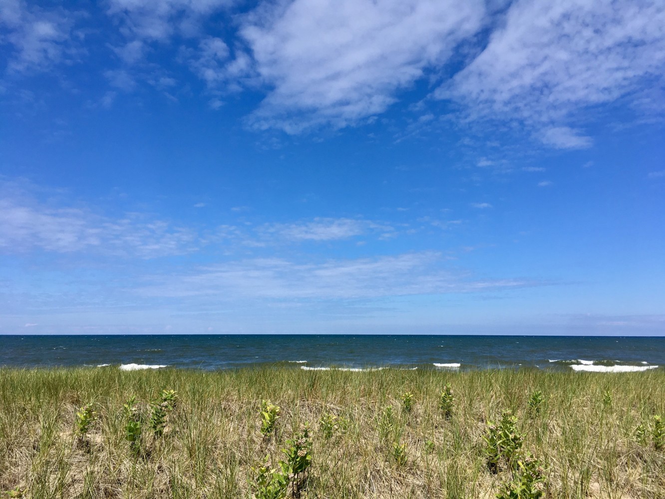 Lake Michigan 2017 - 08 - Saugatuck Dunes State Park