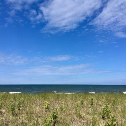 Lake Michigan 2017 - Lake Michigan 2017 - 08 - Saugatuck Dunes State Park