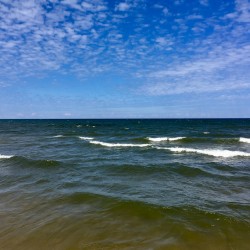 Lake Michigan 2017 - Lake Michigan 2017 - 11 - Saugatuck Dunes State Park