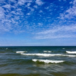 Lake Michigan 2017 - Lake Michigan 2017 - 12 - Saugatuck Dunes State Park