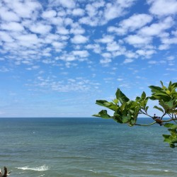 Lake Michigan 2017 - Lake Michigan 2017 - 14 - Saugatuck Dunes State Park
