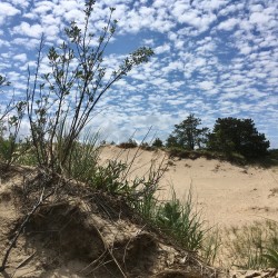 Lake Michigan 2017 - Lake Michigan 2017 - 17 - Saugatuck Dunes State Park