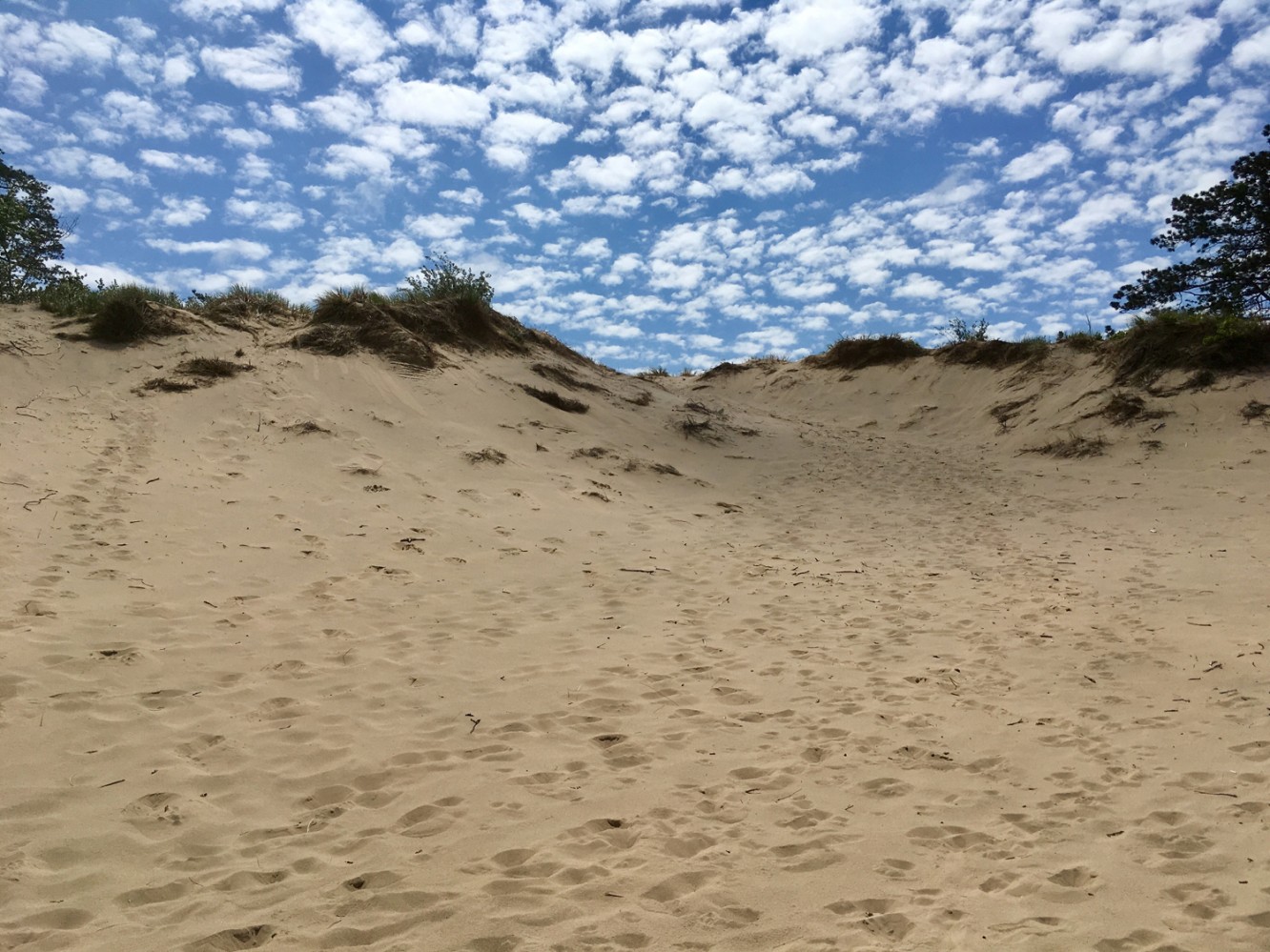 Lake Michigan 2017 - 18 - Saugatuck Dunes State Park