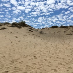 Lake Michigan 2017 - Lake Michigan 2017 - 18 - Saugatuck Dunes State Park