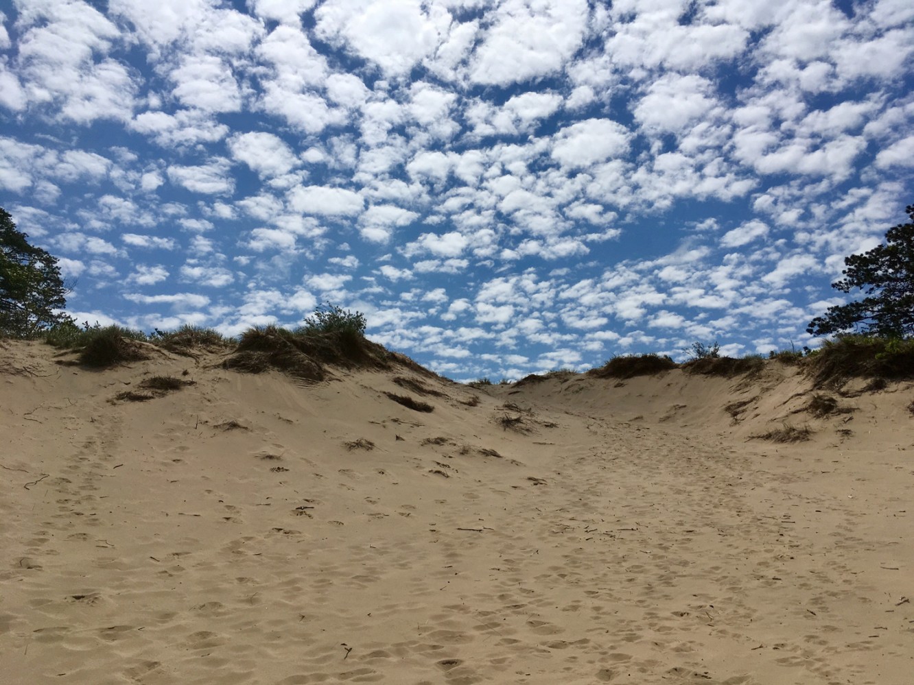 Lake Michigan 2017 - 19 - Saugatuck Dunes State Park