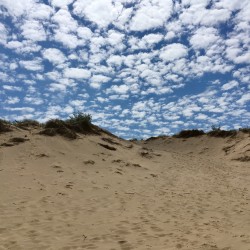 Lake Michigan 2017 - Lake Michigan 2017 - 19 - Saugatuck Dunes State Park