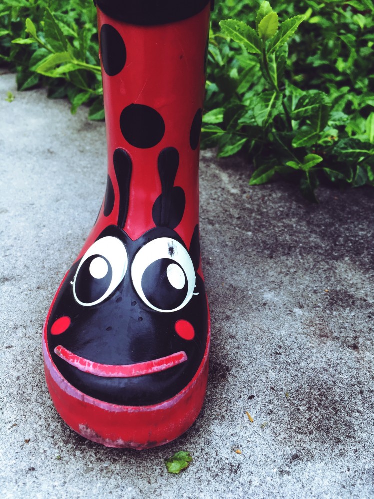 Random things 2017 - Lost rain boot