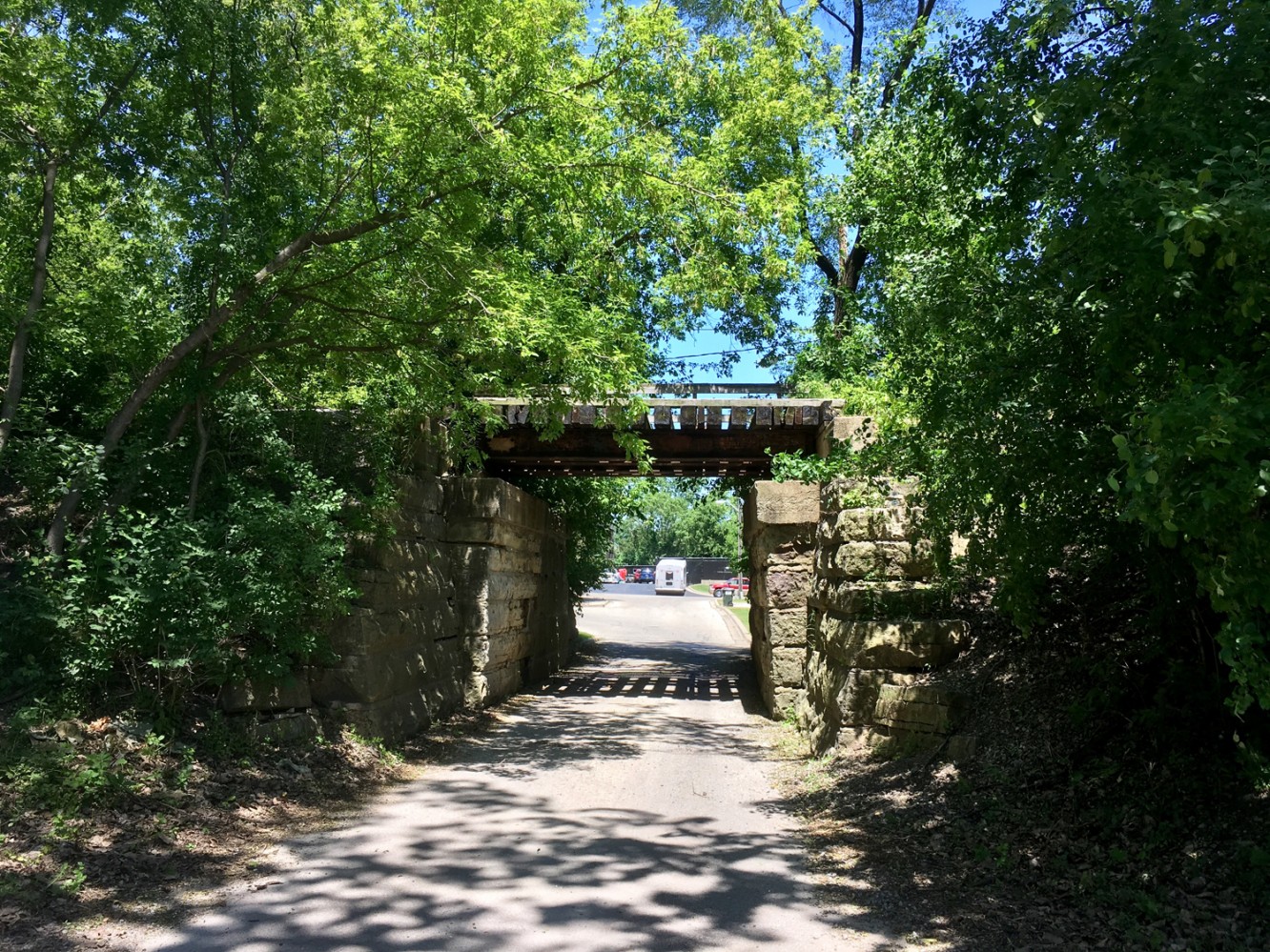 Train bridge and friends - St. Charles, IL 2017 - 01