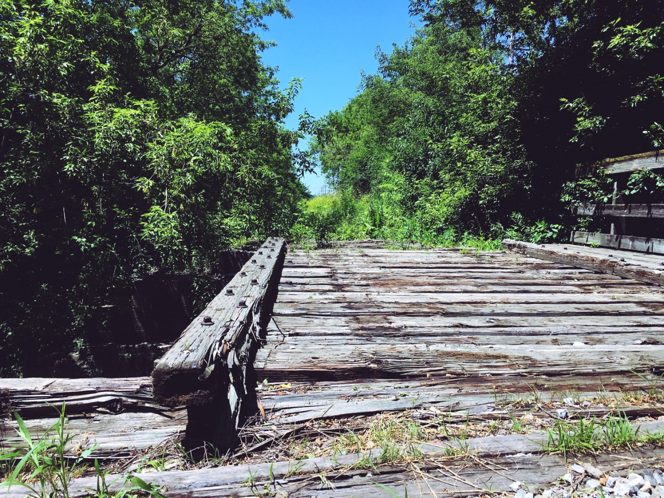 Train bridge and friends - St. Charles, IL 2017 - 04