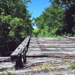 Train bridge and friends - St. Charles, IL 2017 - 04