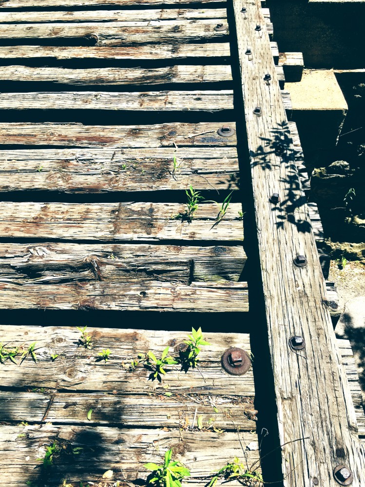 Train bridge and friends - St. Charles, IL 2017 - 06