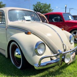 BugFest 2018 - 06