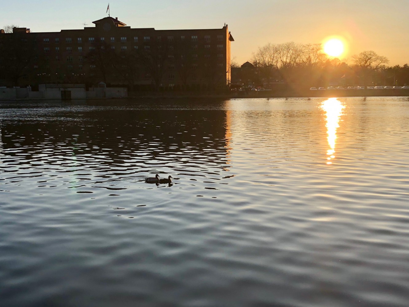 Fox River nature walk - St. Charles, IL 2018 - 01