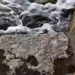 Fox River nature walk - St. Charles, IL 2018 - Fox River nature walk - St. Charles, IL 2018 - 06