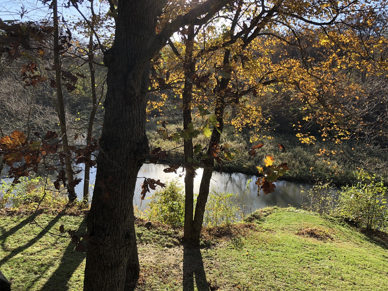 Iowa Fall 2018 - 02