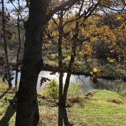 Iowa Fall 2018 - Iowa Fall 2018 - 02