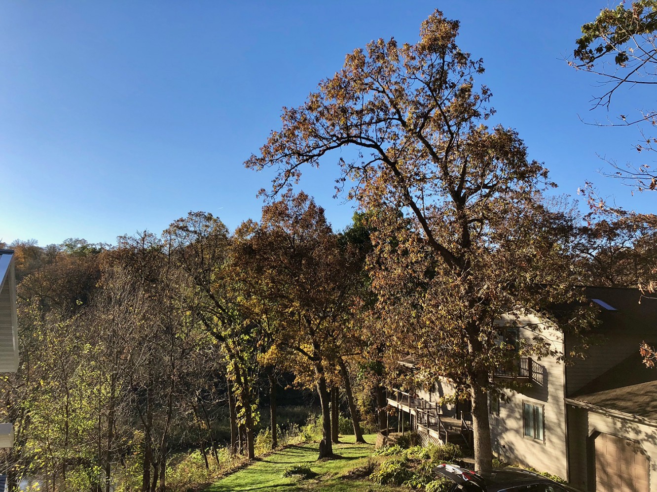 Iowa Fall 2018 - 03