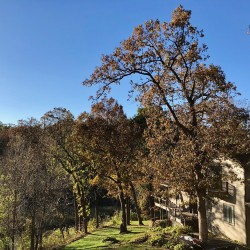 Iowa Fall 2018 - Iowa Fall 2018 - 03