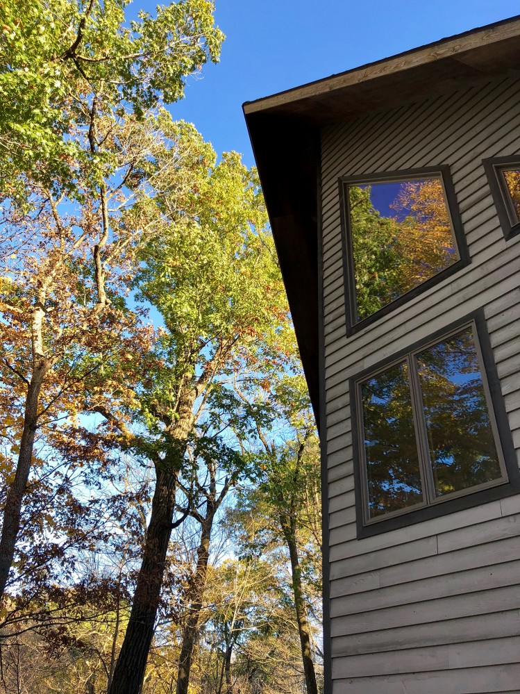Iowa Fall 2018 - 06