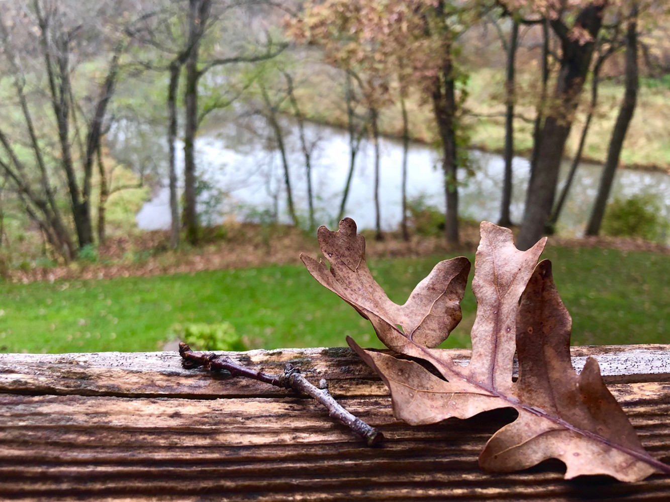 Iowa Fall 2018 - 08