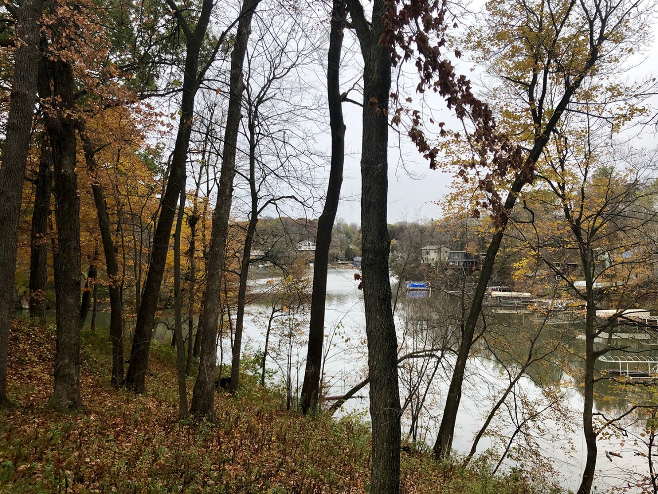 Iowa Fall 2018 - 09