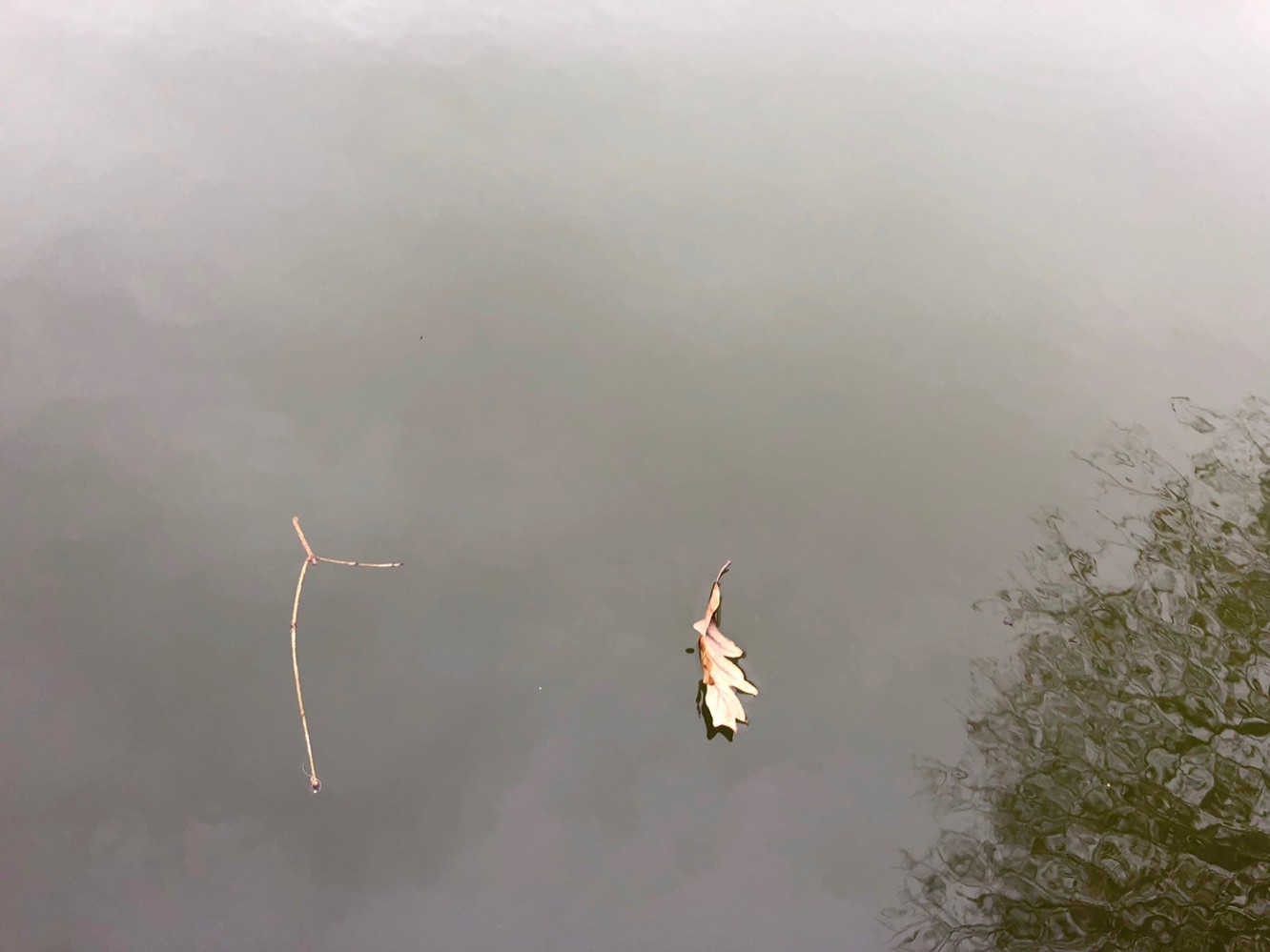 Iowa Fall 2018 - 15