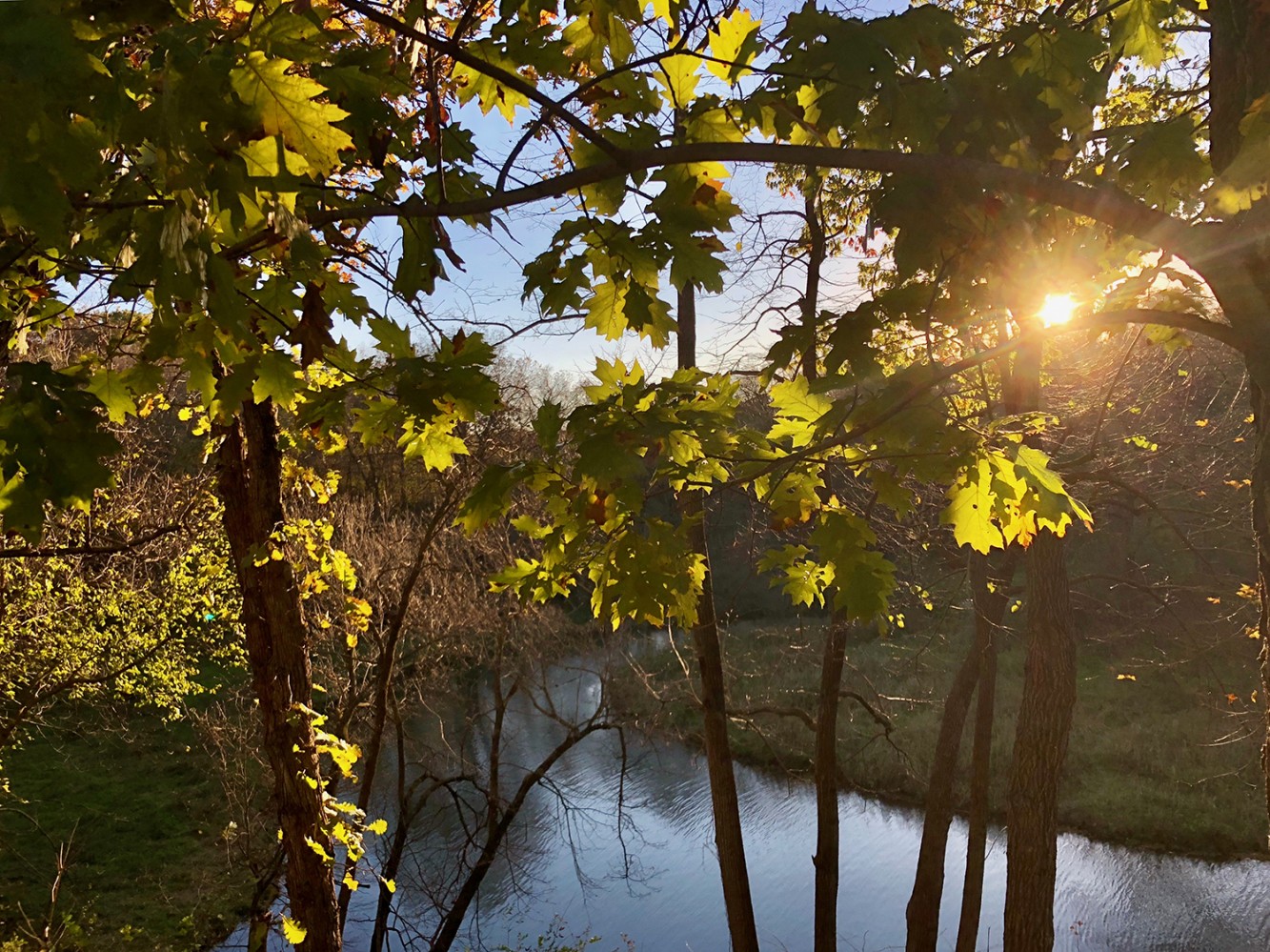 Iowa Fall 2018 - 27